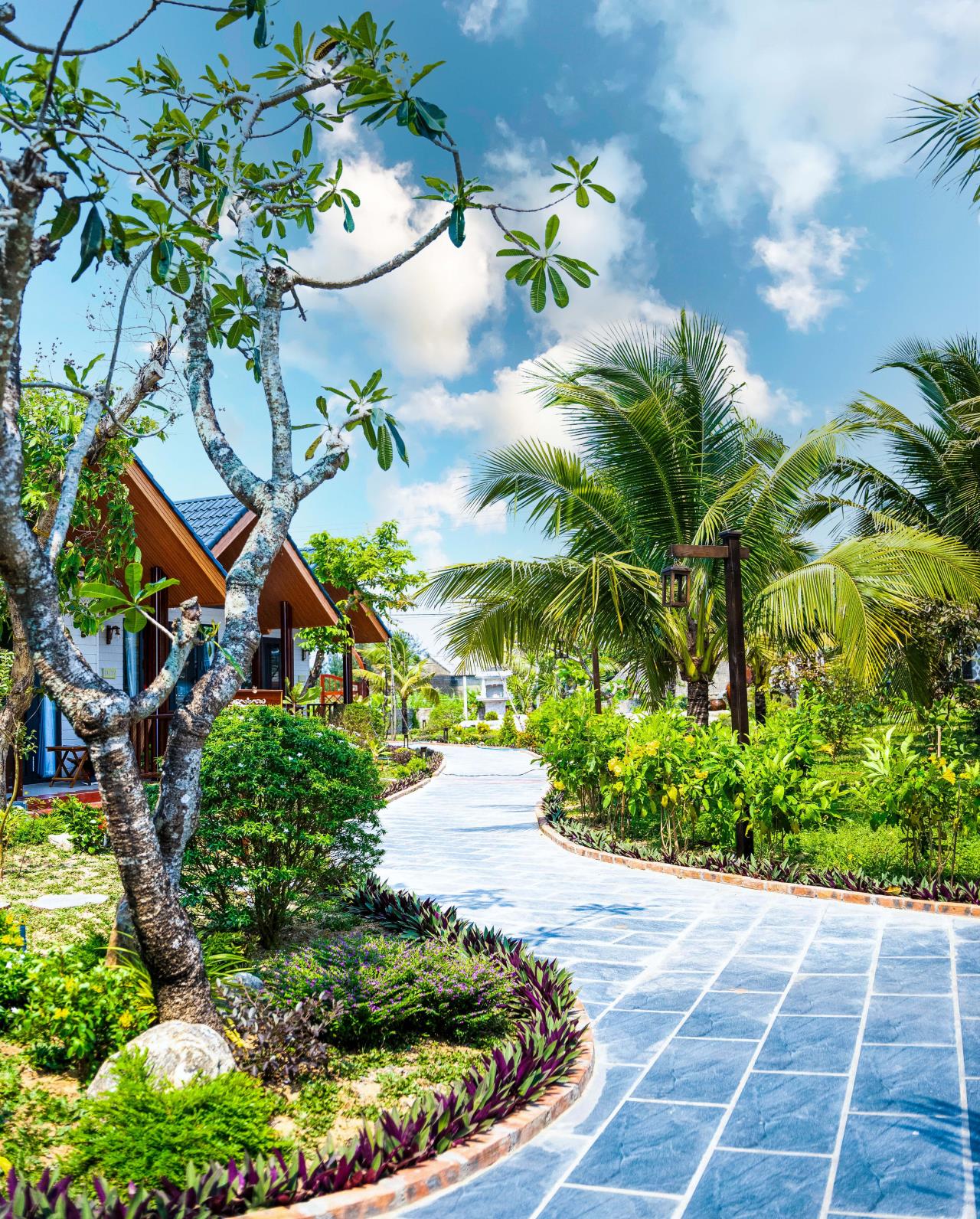 Thư viện ảnh
